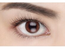 プライベートサロン アンジュ(Private Salon Ange)/セラムラッシュリフト