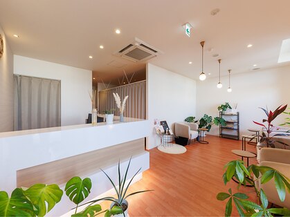 リーフ 一宮バイパス店の写真