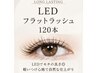 【持続力No.1】LEDフラットラッシュ120本¥8,500→¥7,500