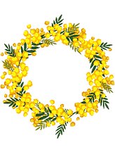 ミモザ&nbsp;I. Ito