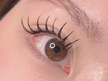 メルシー(Merci)の写真/貴方の”なりたい”が見つかる☆話題のワンホンまつエク～垢抜けブラウンエクステまで豊富にご用意♪