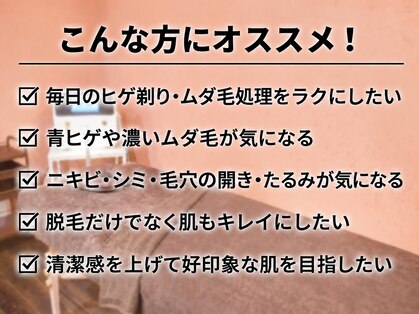 エース(ACE)の写真