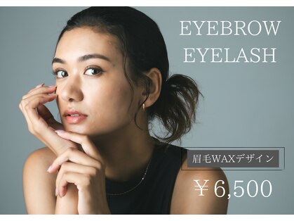トミー(Tommy)の写真