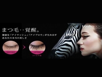 アイラッシュ リップル(Eyelash ripplu)/ラッシュアディクトサロンケア