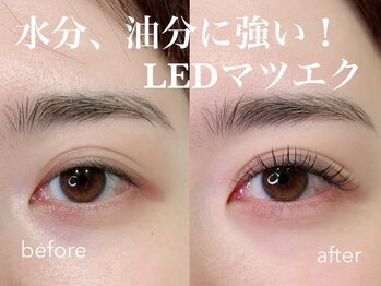 アンドモア ラッシュアンドブロウ ラウンジ(and MORE Lash&Brow lounge)/LEDマツエク/美容液コーティング