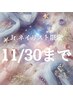 11月末まで☆八木指名限定【マグネットワンカラー】期間限定価格￥5000