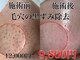 シースタイル(C-S.t.y.l.e.)の写真