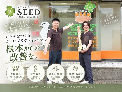 シード(SEED)の写真