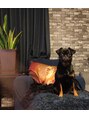 エンジェル 葛飾(ANGEL)&nbsp;保護犬 もみじ