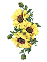 ネイルビューティー アンドエム(Nail Beauty & M) KISHINO