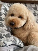 ネイルサロン ミィ(mii)&nbsp;五十嵐 実咲