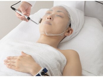 ラバンデュラ(Lavandula)