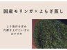 【滝汗/ダイエット】国産モリンガ×よもぎブレンド50分★　4,500円