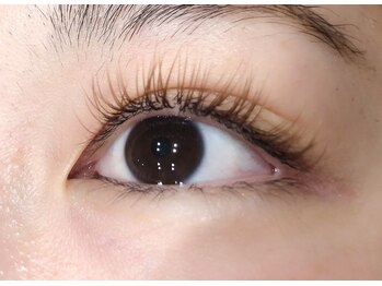 アンジーヘッドオフィス(ANZY Head office)/シアーブラウン140本