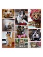 ちーこサロン&nbsp;我が家の猫たちです
