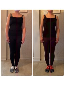 ドクター ヴィーナス/医道整体コース