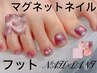 【ジェルオフ無料】大人気！ぷるぷるフットマグネットワンカラー