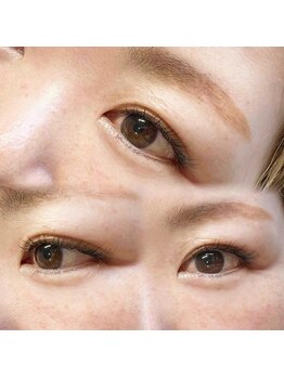 テイラー(Taylor)/フラットラッシュ 140本 SONE