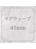 【会員様限定】　マグウェーブ45