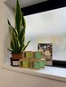 電気美容鍼38本+Neem & Turmeric(フェイスソープ)¥6,300