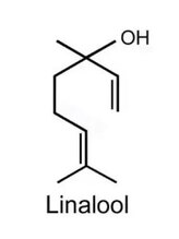 リナロール(Linalool)&nbsp;Linalool リナロール