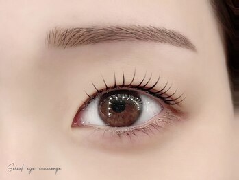 セレクト アイコンシェルジュ 新宿店(SELECT eye concierge)の写真/フラットラッシュやまつ毛パーマでお悩み解決［新宿駅/アイブロウ/まつ毛パーマ/まつげ/フラットラッシュ]