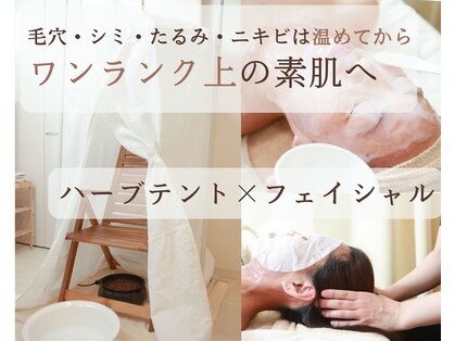 こもれびの写真