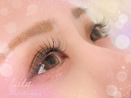 リタ(Lita)の写真