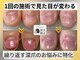ポメロ(POMELO)の写真