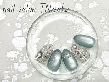 ティーエヌ 江坂店/季節の定額8800コース〔江坂〕