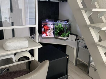ネイルルーム エンヌ(nail room en'ne)/サロン内観