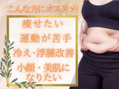 ヨサパーク リリー(YOSA PARK Lily)の写真