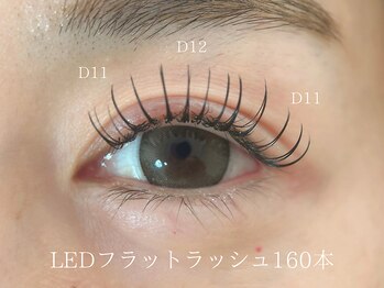 ラマ(RAMA)/LED160本フラットマットラッシュ