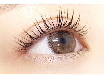 アルジェラ(Argie'La)/ラッシュリフト(上 . 下)可能!