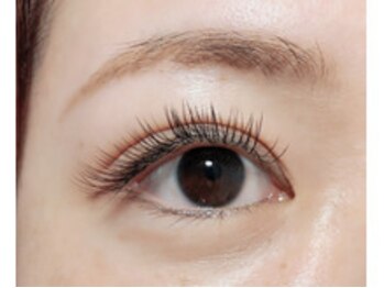 アイラッシュサロン フェリス(Luxury)/C・Jカール★140本