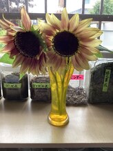 エンジェル&nbsp;滝田 純子