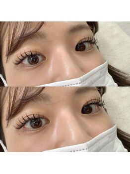 アンジェリークアイラッシュ(Angelique Eye Lash)/フラットラッシュ140本