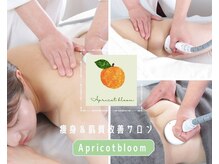 アプリコットブルーム(Apricot bloom)