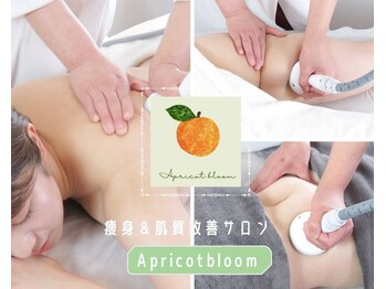 アプリコットブルーム(Apricot bloom)
