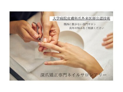 アリー(ali'i)の写真