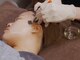 ピュアソル 堀江店(Puresol)の写真/【韓国で定番の肌管理を日本で◎】LHALAピールで毛穴レス・ちゅるんと白玉肌へ♪