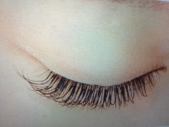 ナチュレ/まつげエクステ120本CCカール