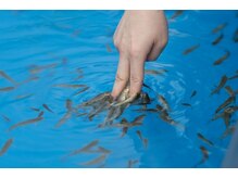 大足スパ 上野 御徒町(BIG FOOT SPA)