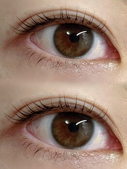 アイラ 古川橋店(EYELA)/ラッシュリフト