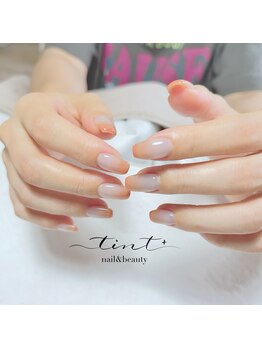 ティントプラス(tint+)/マグネット×グラデーション