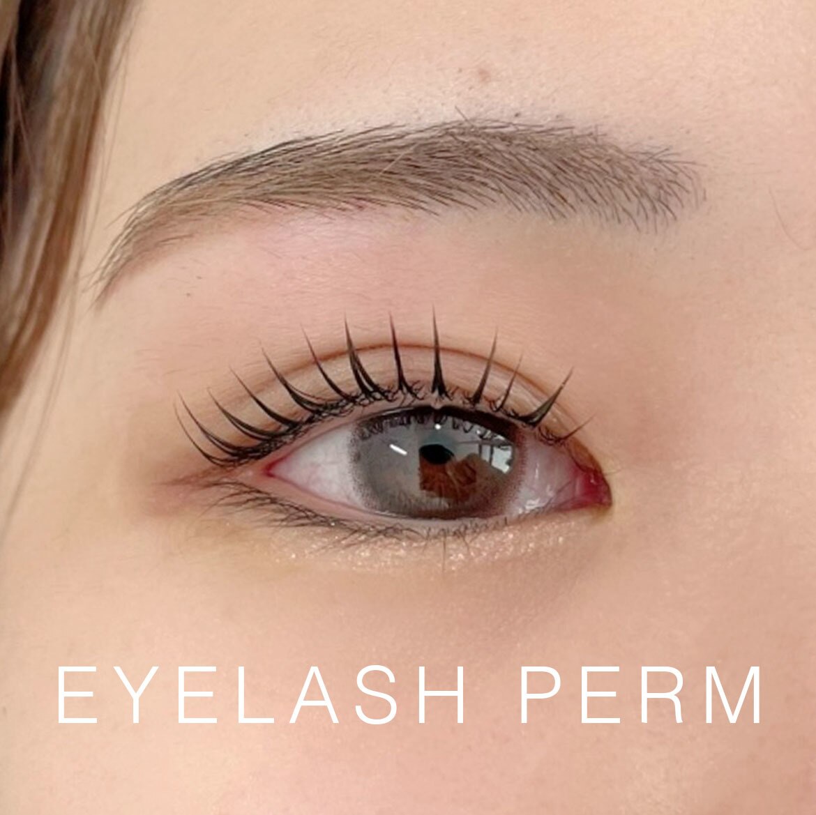 【 大人気◎ 】似合わせまつげパーマ〈コーティング付〉 ￥4500