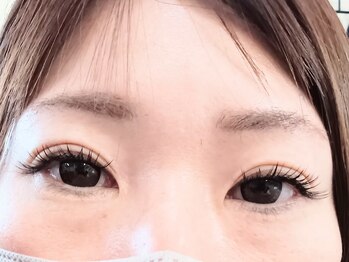 コーラル(Coral)/バインドロック100束