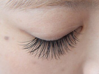 ネイルズ ココ(nails COCO)/まつ毛エクステつけ放題¥6300