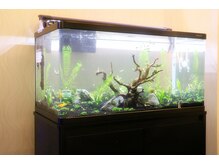 ペパームーン ビューティ(Pepper Moon Beauty)/peppermoon【川崎】