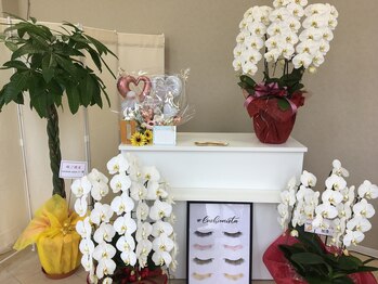 アイラッシュサロン ユー(U)/移転リニューアルオープン☆